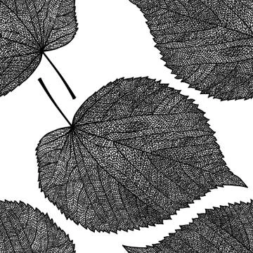Leaf skeleton pattern イラスト素材