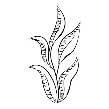 Leaf sketch icon Vector Stock Illustration