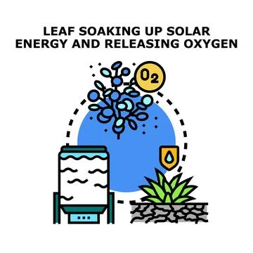 Leaf soaking up solar energy producing oxygen 스톡 일러스트