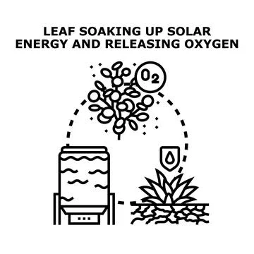 Leaf soaking up solar energy producing oxygen Stockillustratie