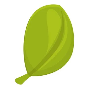 Leaf spice icon cartoon vector. Herb plant Stock Illustration
