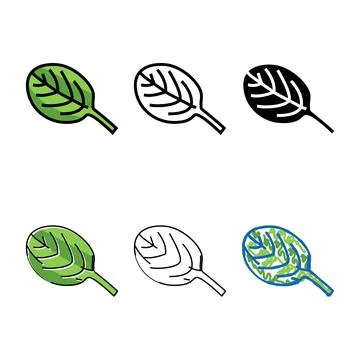 Leaf spinach color icon vector diversity Stock Illustration