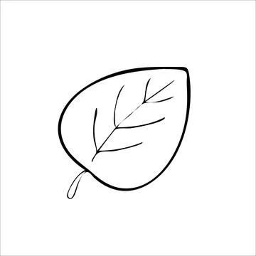 Leaf spinach tree vector art illustration icon Stock Illustration