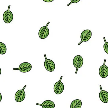 Leaf spinach vector seamless pattern Stockillustratie