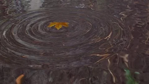 Leaf Splash in Pond Stock Illustration