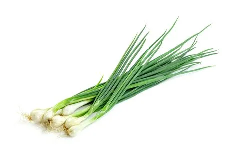 Leaf spring onion isolated on white background ,Green leaves pattern Stock Photos