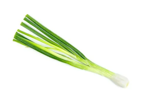 Leaf spring onion isolated on white background ,Green leaves pattern Stock Photos