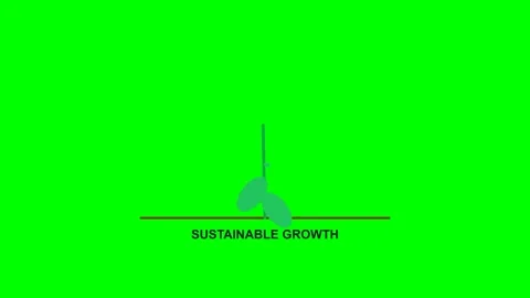 Leaf Sprout Growth Ecosystem Animated Business Data Motion Graphic Stock Footage 341456115