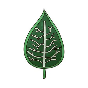 Leaf structure illustration Stock Illustration