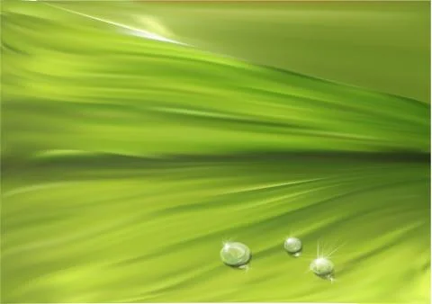 Leaf surface with drops Stock Illustration