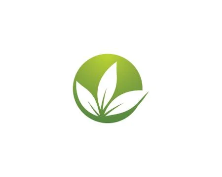 Leaf symbol vector icon illustration Stock Illustration