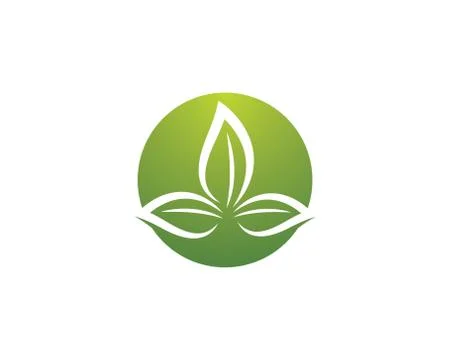 Leaf symbol vector icon illustration Stock Illustration