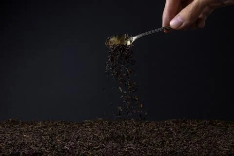 Leaf tea. a lot of loose tea. Stock Photos