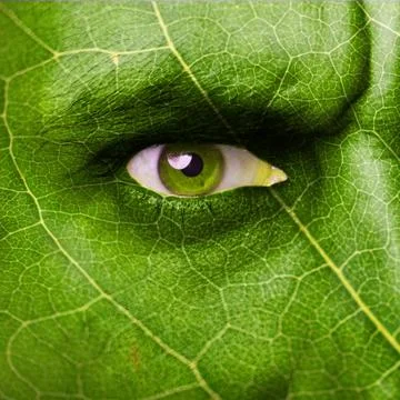 Leaf texture on human face. Ecology concept. Stock Photos