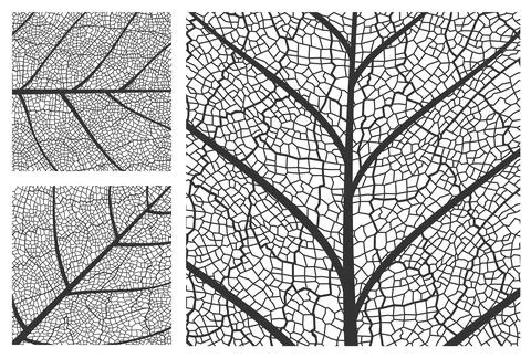 Leaf texture pattern background, plant cells veins Stock Illustration