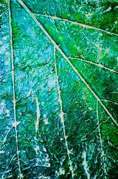 Leaf texture Foto stock