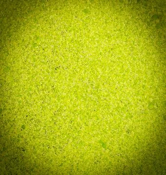 Leaf texture Fotos de archivo