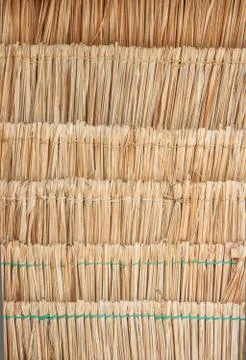 Leaf thatch roof Stock Photos