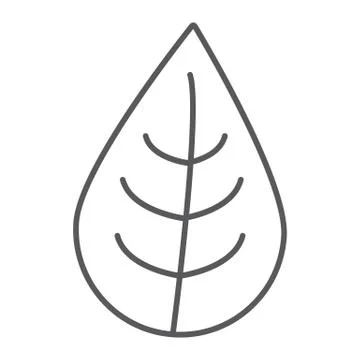 Leaf thin line icon, nature and eco, plant sign, vector graphics, a linear Stock Illustration