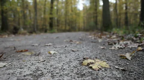 Leaf On Trail 스톡 동영상 10941109