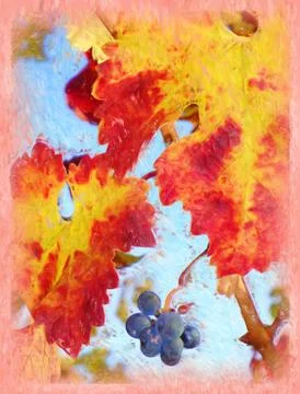 Leaf Transition Stock Illustration