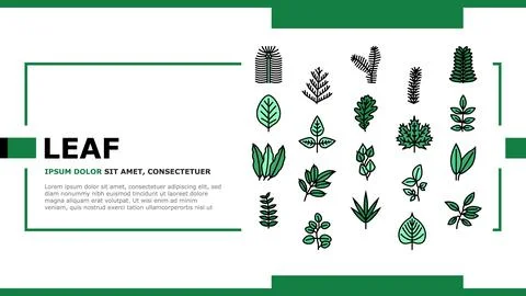 Leaf Of Tree, Bush Or Flower landing header vector Stock Illustration