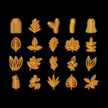 Leaf Of Tree, Bush Or Flower neon glow icon illustration Stock Illustration