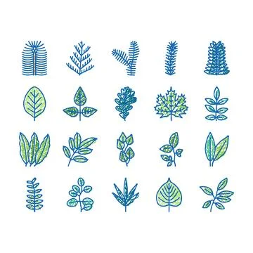 Leaf Of Tree, Bush Or Flower Icons hand drawn Stock Illustration