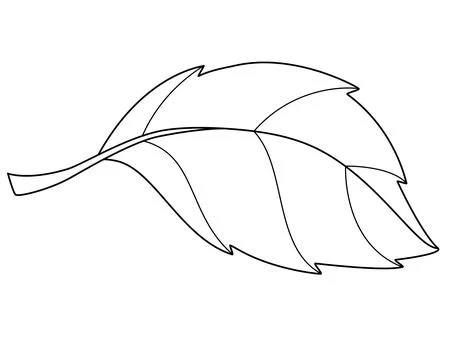 Leaf of a tree or other plant - vector linear picture for coloring. Stock Illustration