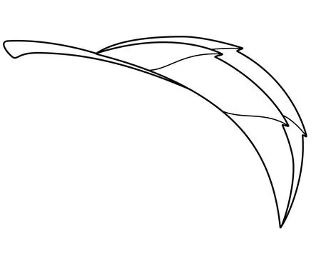 Leaf of a tree or other plant simple element - vector linear picture Stock Illustration