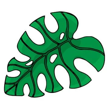 Leaf of the tree. Palm leaf. Vector illustration of a falling leaf of a tree. Stock Illustration