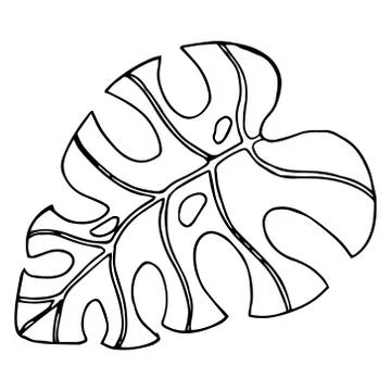 Leaf of the tree. Palm leaf. Vector illustration of a falling leaf of a tree. Stock Illustration