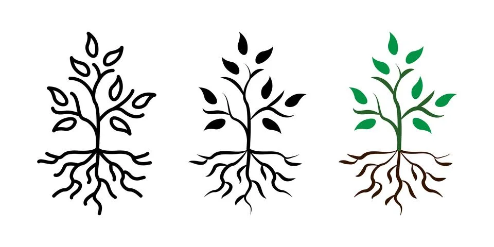 Leaf tree with roots vector line illustration. Plant with leaves abstract n.. Stock Illustration