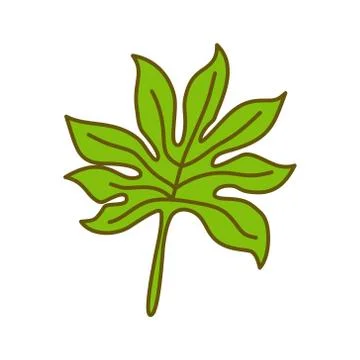 Leaf Tropical Design Illustration Template Vector 스톡 일러스트