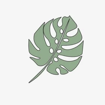 Leaf Tropical Plant - Monstera. vector illustration Illustrazione stock