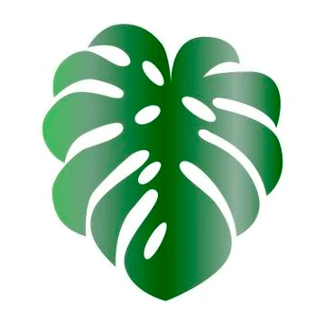 Leaf of tropical plants. Isolated items. Monstera. 스톡 일러스트