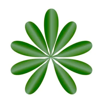 Leaf of tropical plants. Isolated items. Schefflera. Stock Illustration