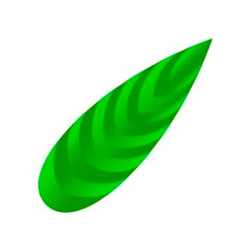 Leaf of tropical plants. Isolated items. Illustrazione stock
