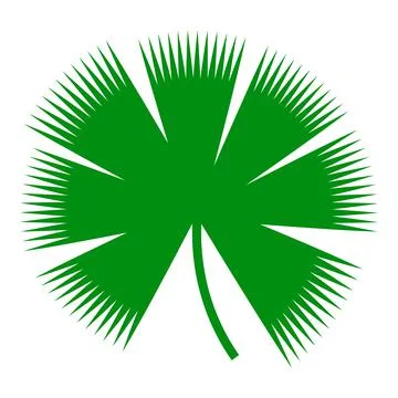 Leaf of tropical plants. Isolated items Palm tree 스톡 일러스트