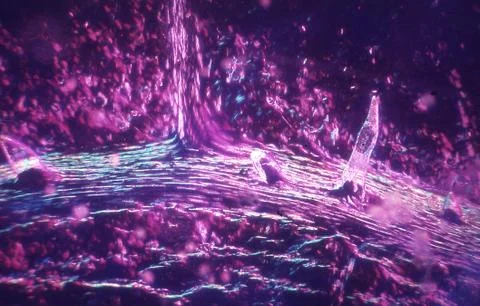 Leaf underside of a vine leaf with stomata and hairs Stock Photos