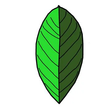 Leaf vector biutiful Stock Illustration