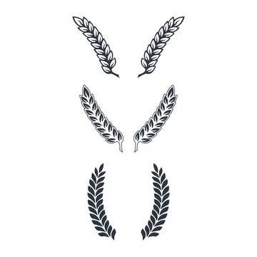 Leaf vector for charter, victory, champion Stock Illustration