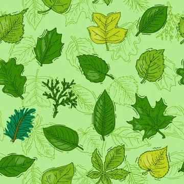Leaf vector green leaves of trees leafed oak and leafy maple or leafing foliage Ilustración de archivo