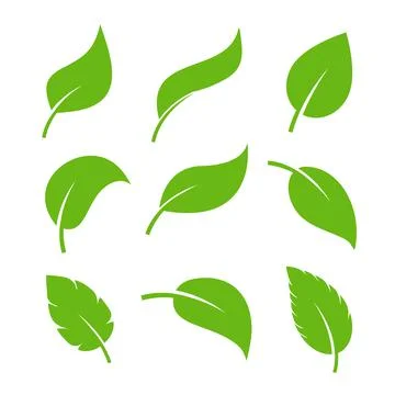 Leaf vector icon logo. Vegan leaves green eco flat herbal icon simple shape Stock Illustration