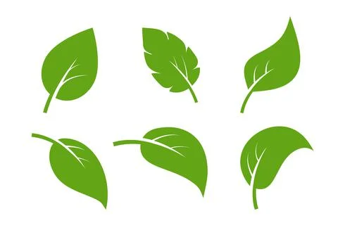 Leaf vector icon logo. Vegan leaves green eco flat herbal icon simple shape Illustrazione stock