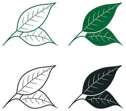 Leaf vector icon set in green and black. White isolated background. Stock Illustration
