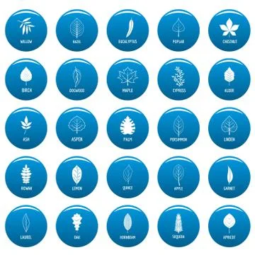 Leaf vector icons set blue, simple style Illustrazione stock