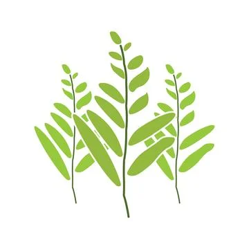 Leaf vector Stock Illustration