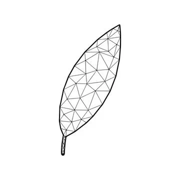 Leaf vector illustration in polygonal style, isolated on white background Stock Illustration