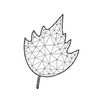 Leaf vector illustration in polygonal style, isolated on white background Stock Illustration